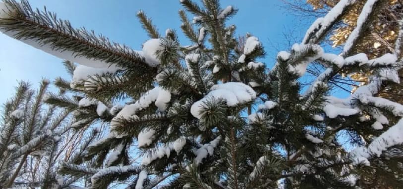 Фундамент на забивных ЖБ сваях