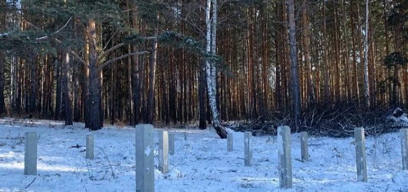 Фундамент на забивных ЖБ сваях